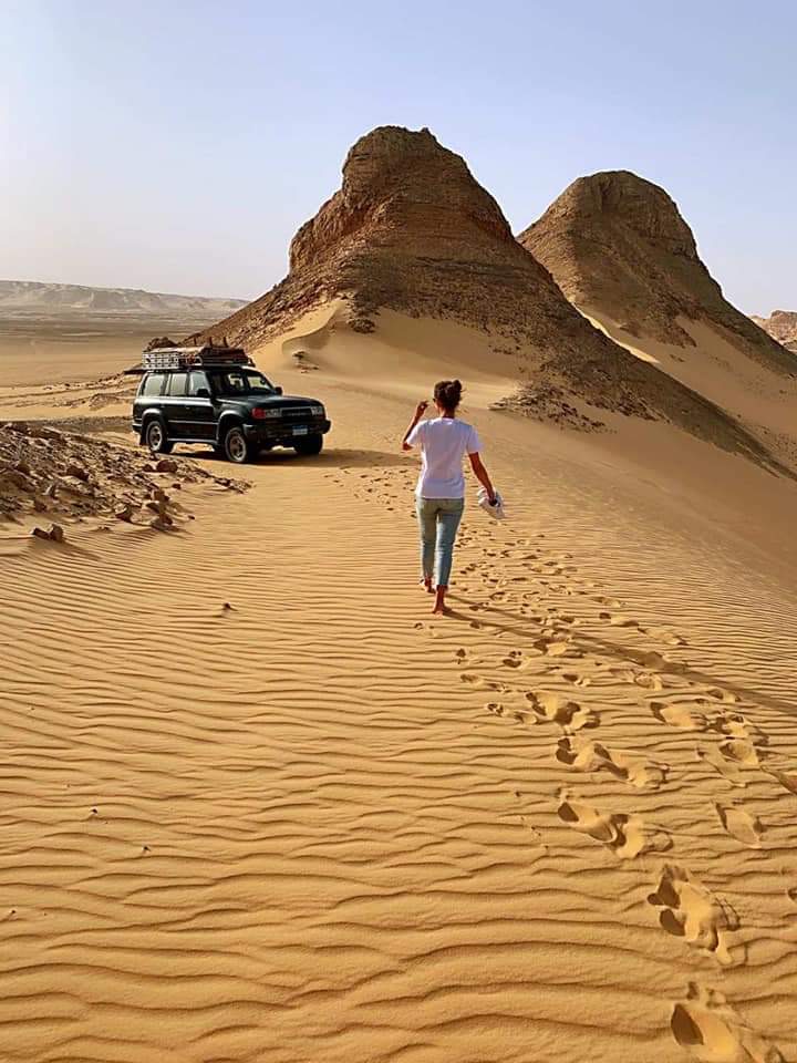 2 Days – Discover the hidden treasures of Fayoum desert – lakes – whales valley – (camp in the desert and others.)
